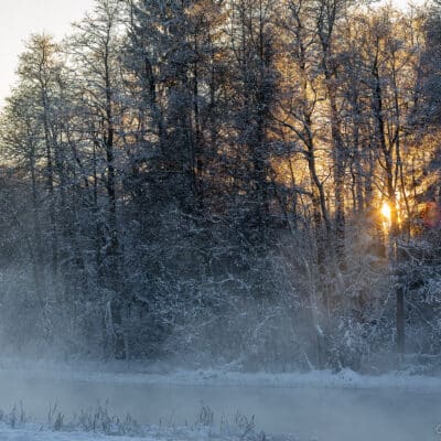 Viimased päikesekiired