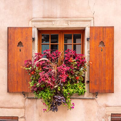 prantsusmaa, Alsace, veinitee, linnatänav, värviline,majad